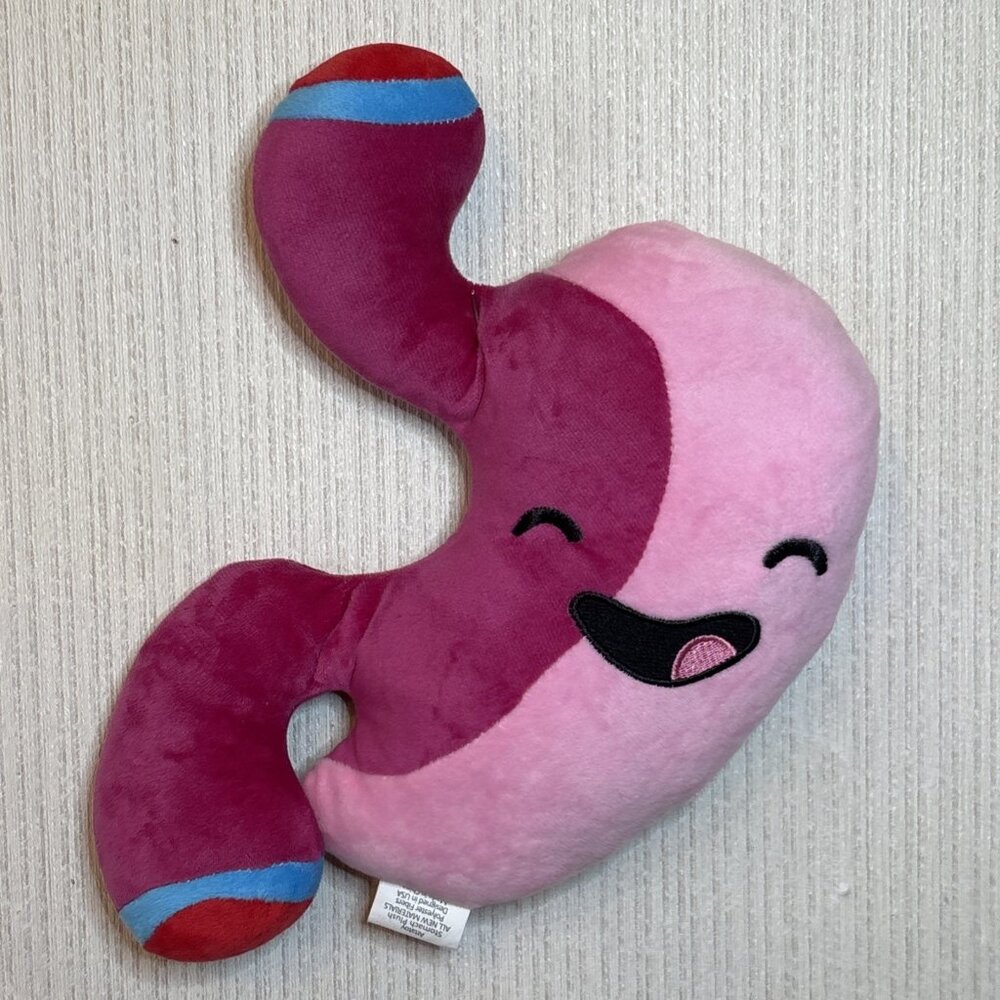 Barry The Stomach Plush Human Organ 10" Surgery Pal Bariatric Buddy Attatoy